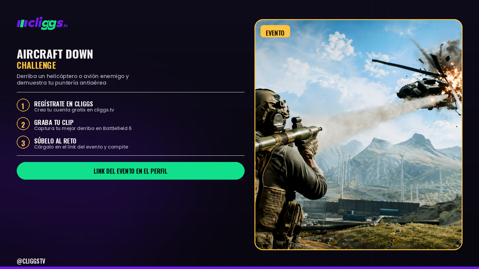 Aircraft Down Challenge: Shoot It Down and Prove It